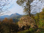 MONTE CASTELLO (croce 1425 m) e Ca’ di Zocc (1097 m) da Valpiana di Serina-3ott26 - FOTOGALLERY